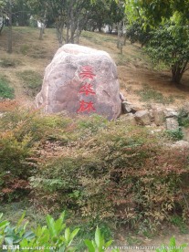 昙华林