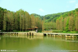 仙湖植物园
