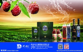 大豆油展画