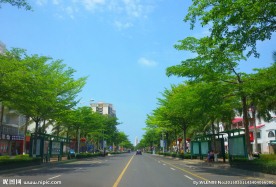 城市道路