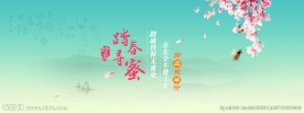 中国风春天的蜂蜜促销广告