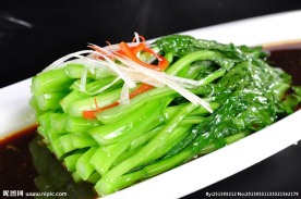 广东菜心