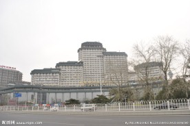 大廈 大楼