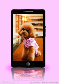 cdr绘制手机立体可爱小狗壁纸