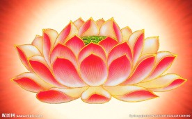 放光莲花