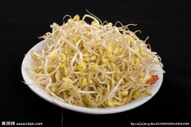 泉水豆芽