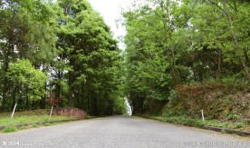 山路景观