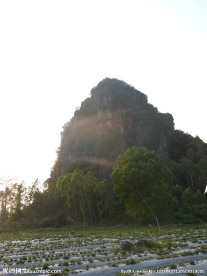 石岭田园