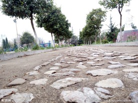公园道路