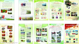 无人植保机宣传册