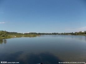 森林公园 蓝天湖面风景