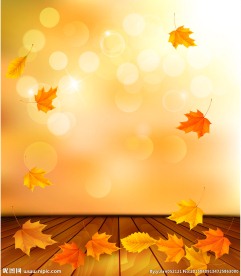 浪漫秋季枫叶木纹矢量素材