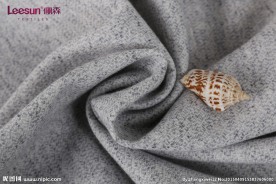 双色时装料 风衣时装