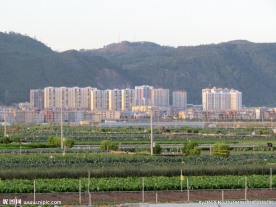 希望的田野