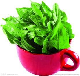 菠菜 涮菜菠菜
