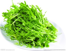 凉拌苦菊 爽口苦菊