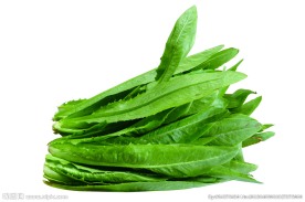 油麦菜