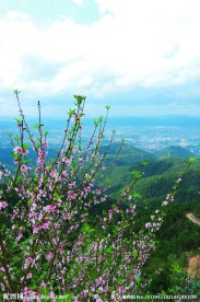 中国山水城市风光