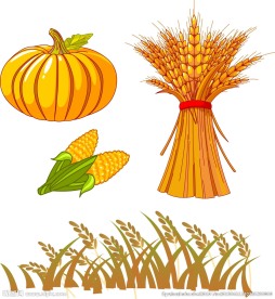 南瓜 小麦 玉米