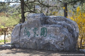 山石