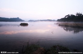生态湿地