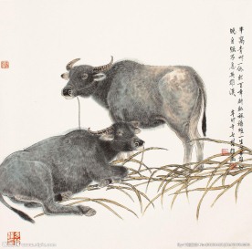 双牛