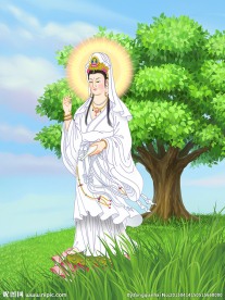 草地观音