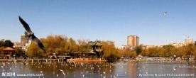 昆明翠湖