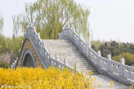 公园小桥