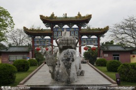 龙园公园前面