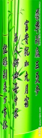 竹韵古诗写真