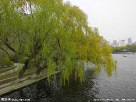 湖水景观