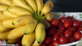 圣女果与仙人蕉