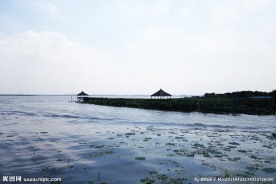 阳澄湖莲花岛