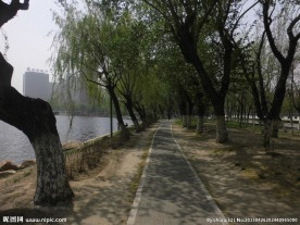 湖边小路