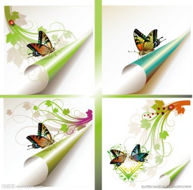 落在翻角上的蝴蝶