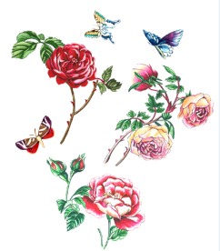 玫瑰花