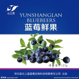 蓝莓鲜果包装贴