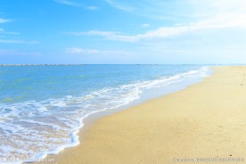 沙滩风景
