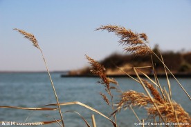上海滴水湖