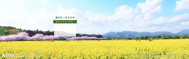 春季新品首发