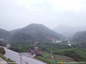 高山云雾