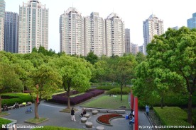 绿色公园