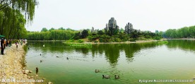 天鹅湖