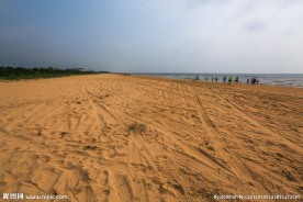 日照海滨国家森林公园