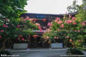 镇江南山风景区