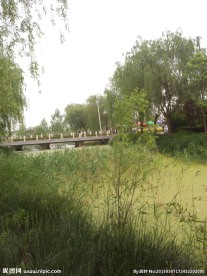 公园湖景