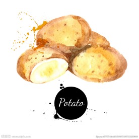 水彩蔬菜土豆