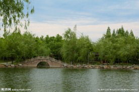 小桥 公园 湖水 柳树
