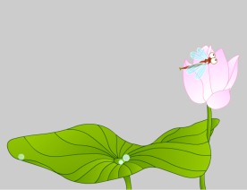 水滴在莲花上flash矢量动画